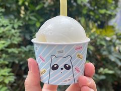 -Papa Gelato 纯手工冰淇淋