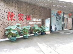 -陈家山荷花公园
