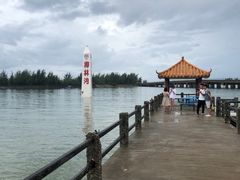 -东郊椰林