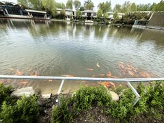 -春晖园度假酒店温泉