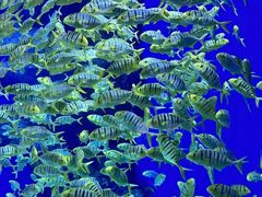 -成都浩海立方海洋公园