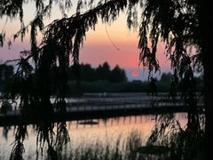-滆湖低碳生态公园