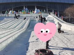 -沈阳奥体冰雪嘉年华