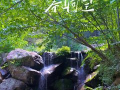 -四明山国家森林公园