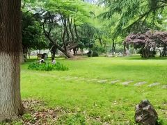 -汉水公园