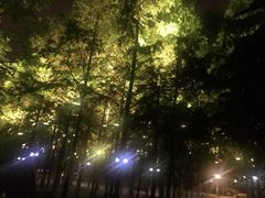 -武汉两江游览·夜游长江(汉口粤汉码头)