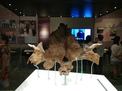 -北京周口店北京人遗址博物馆