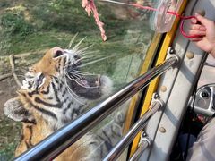 -贵州森林野生动物园