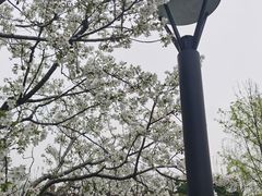 -上海市普陀区文化馆