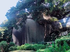 -星宿秘码(鼓浪屿老店)