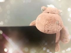 -中央广播电视总台(光华路办公区)