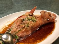 -金悦轩海鲜酒家(银河店)