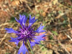 -盘龙城国家考古遗址公园