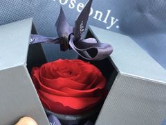 -GODIVA(印象城店)
