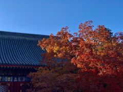 -香山公园