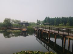 -苏州太湖湖滨国家湿地公园