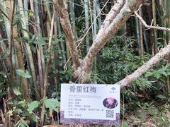 -广州市白云山风景名胜区