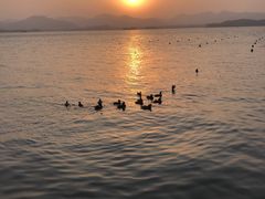 -西湖游船