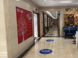 -碧莲盛·不剃发植发