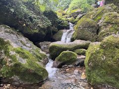 -青城山