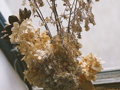 -唐咖精品咖啡(大理古城手冲店)