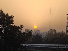 -南阳建业森林半岛假日酒店