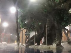 -中铁花水湾温泉酒店(大邑店)