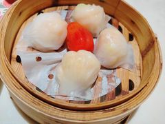 隆隆金虾饺皇-隆隆金大茶楼(明珠广场店)