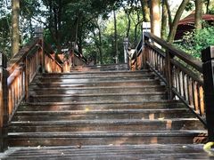 -天鹿湖森林公园