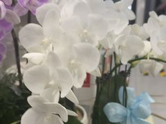 -巴黎春天(浦建店)