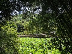 -龙头寺公园
