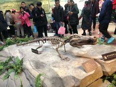 -自贡恐龙博物馆