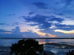 -宝安西湾红树林湿地公园