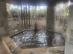 -张家港金凤凰度假村温泉