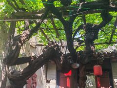 -康百万庄园