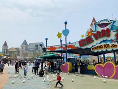 -烟台海昌鲸鲨海洋公园