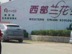 -西部兰花园生态园