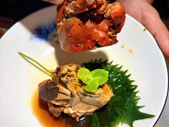 -打酱油·非遗淮扬菜(瘦西湖梅岭老店)