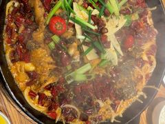 -老板恋上鱼(印象城店)