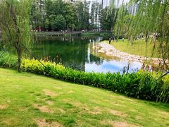 -四海公园(南山区)
