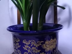 -华莱士·全鸡汉堡(吉祥街店)