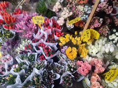 -循礼门鲜花花市(武汉循礼门店)