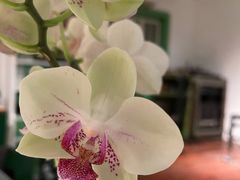 -Carmen卡门西班牙餐厅