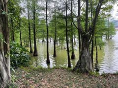 -南宁花花大世界景区