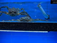 -钱山海鲜大排档