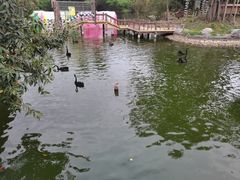 -深圳野生动物园