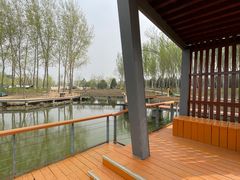 -东郊湿地公园