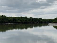 -东寨港红树林旅游区