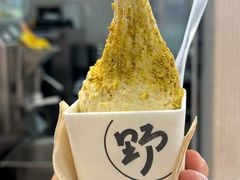 -野人先生现做冰淇淋(西安赛格店)