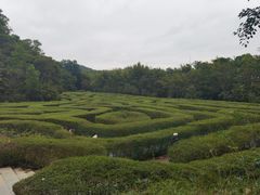 -大屏嶂森林公园